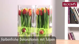 Farbenfrohe Deko mit Tulpen  DIY Frühlingsdeko  spring decoration  BLOOM’s Floristik [upl. by Marthena]