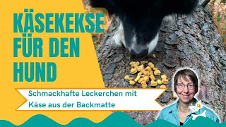 Käseleckerli aus der Backmatte für den Hund [upl. by Iniretake585]