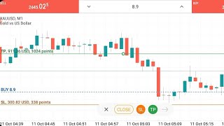 300 USD Sl Hit In Gold Trading [upl. by Ahsinet]