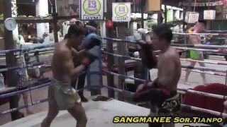 Sangmanee SorTienpo 2013 MVP MUAYTHAI training [upl. by Enirod]