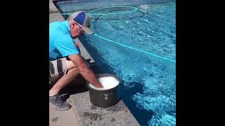 Craigs Quality Pool Service  Highfields Toowoomba [upl. by Chladek]