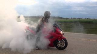 2002 vfr800 burnout [upl. by Eniarral]