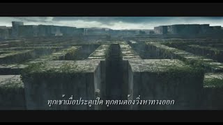 ตัวอย่าง The Maze Runner เมซรันเนอร์ วงกตมฤตยู Official Trailer HD ซับไทย [upl. by Esra]