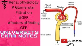 Glomerular FiltrationGFRfactor affecting GFRFiltration membrane [upl. by Yehus]