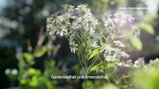 Privatgarten Gartenvielfalt und Artenvielfalt [upl. by Mandal]