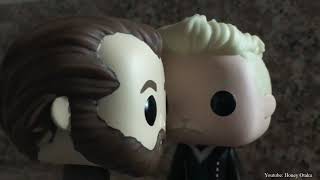 Dumbledore and Grindelwald Romance Funko Fiction [upl. by Gerda]