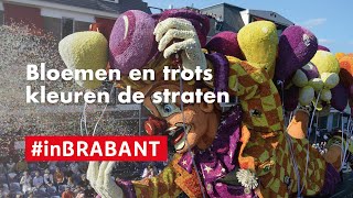 Bloemencorso Zundert  inBrabant [upl. by Morgana]