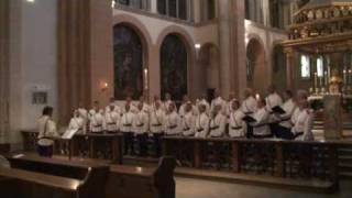 Heruvimskaya pesn  Ural Cossacks choir  Live in Vienna [upl. by Assi]