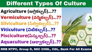 Different Types Of Culture In TeluguSericulture Apiculture Viticulture Hoticulture Pisciculture etc [upl. by Oderfla31]