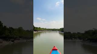 Sundarban Tour  Sundarban Vlog  Mangrove Forest  Largest Mangrove Forest Sundarbans sundarban [upl. by Agate674]