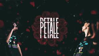 PNE Vali  PETALE Official Visual Video [upl. by Dacy]