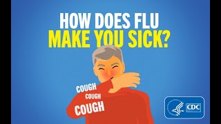 How Does Flu Make You Sick [upl. by Anaek]