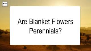 Are Blanket Flowers Perennials [upl. by Phares]