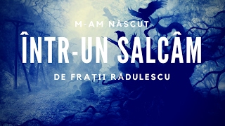 Fratii Radulescu  Mam născut întrun salcâm [upl. by Sandstrom98]