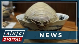 Taiwan introduces 14legged isopod noodle bowl  ANC [upl. by Delahk36]