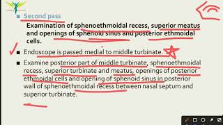 Diagnostic Nasal Endoscopy  Indications  Technique  Passes and Complications of DNE  ENT [upl. by Romy]