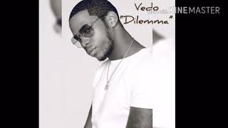 VedoDilemma Lyrics [upl. by Oby]