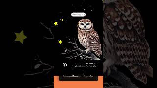 Nighttime Animals Song  BooBooABC  Learn About Nocturnal Creatures kidssongs animalsongs [upl. by Leik]