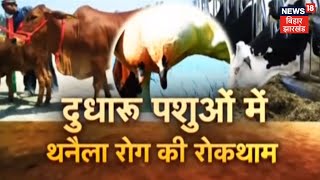 Mastitis Treatment In Cows  दुधारू पशुओं में थनैला रोग की समस्या और लक्षण  Annadata [upl. by Anuat312]