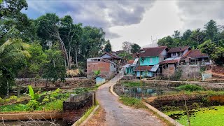 Menyusuri Suasana Pedesaan Yg Masih Asri Kampung Cisalak Garut Jawa Barat [upl. by Suiratnauq259]