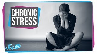 How Chronic Stress Harms Your Body [upl. by Aticnemrac]