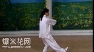 8form Tai Chi Demo Back [upl. by Ellita958]