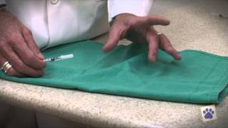 Animal Health Hospital How To Give Allergy Shots To Your Dog Or Cat [upl. by Noyk768]