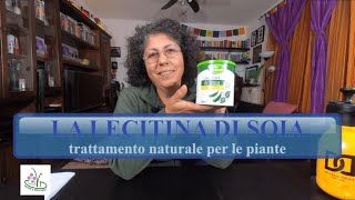 LECITINA DI SOIA come fungicida naturale [upl. by Harilda]