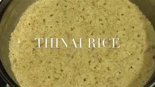 How to cook Thinai Foxtail Millet திணைEasy rice variety [upl. by Newby]