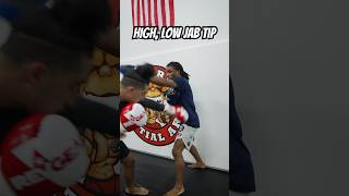 Master the High Low Jab mma fyp boxing mma muaythai bjj fight explore explorepage [upl. by Valaree]