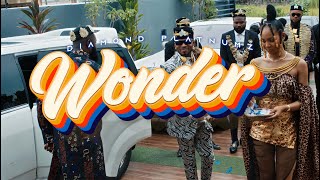 Diamond Platnumz  Wonder Official Video [upl. by Aisatnaf781]