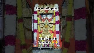 Rayara Darushana 🙏🙏 mantralaya rayaru raghavendra devotionalsongs viral viralshortviralshorts [upl. by Initirb598]