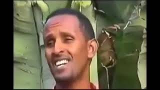 ስማሽ ማኒ ደልታ ስልጥኛ ሙዚቃ  smuash mani delta siltigna music [upl. by Gabrielson]