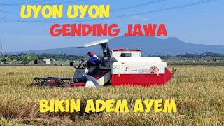 UYON UYON GENDING JAWA BIKIN ADEM AYEM [upl. by Maharva]