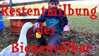 Restentmilbung der Bienenvölker [upl. by Eittol]