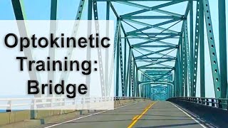 Optokinetic Training Bridge Drive Intermediate Pattern Complexity [upl. by Zelikow]