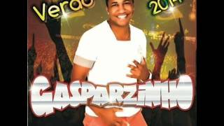 GASPARZINHO CD NOVO  VERAO 2014 • Perdoa [upl. by Onaicnop896]