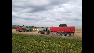 John Deere T660i Hillmaster et John Deere 8345R et 8430 et Brimont à la moisson du froment [upl. by Aland49]