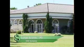 FAZENDA À VENDA EM CAMPO GRANDE  MS COM 550 HECTARES [upl. by Schoenburg]