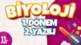 11 Sınıf 1 Dönem 2 Yazılı Hazırlık I Biyoloji [upl. by Mahmud209]