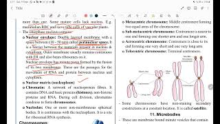 nucleus and centriole [upl. by Akeihsal]