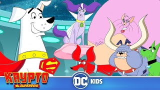 Krypto The Superdog  Lets Meet The Dog Star Patrol dckids [upl. by Lalla]