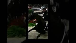 RIP Hickstead🕊legendshortsfypviralvideo edithorsedeathsad [upl. by Casavant718]