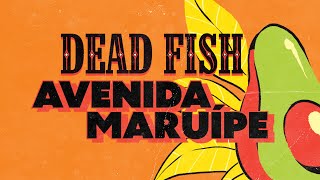 Dead Fish  Avenida Maruípe Lyric Video [upl. by Hermine130]