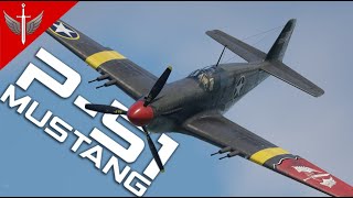 The P51 Cannon Mustang Is Still Iconic [upl. by Eessej]