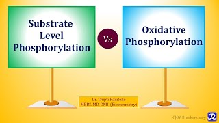 5 Substrate Level Phosphorylation  Biological Oxidation  Biochemistry  NJOY Biochemistry [upl. by Yadnus]