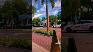 Dunedin Florida 📍🇺🇸 florida dunedin video good day [upl. by Oric]