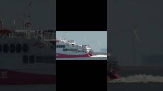 HIGH SPEED CATAMARAN quotHALUNDER JETquot shorts shipspotting ship [upl. by Edea]