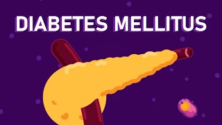 What is Diabetes Mellitus  Understanding Diabetes  Diabetes Type 1 and Type 2 [upl. by Aznofla439]