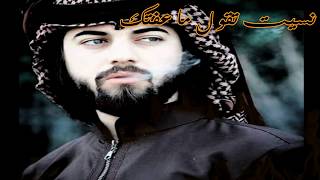 شيله عراقية ماجد الرسلاني  تريد الموت ياخذني  مع الكلمات تصميم مممممميز [upl. by Eiryk]